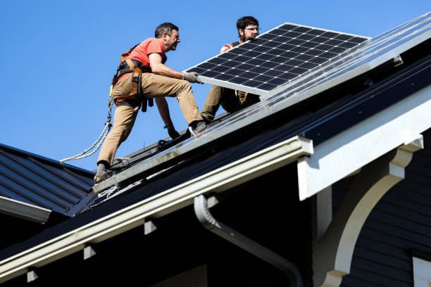 Roof Moss and Algae Removal in Plainview, MN